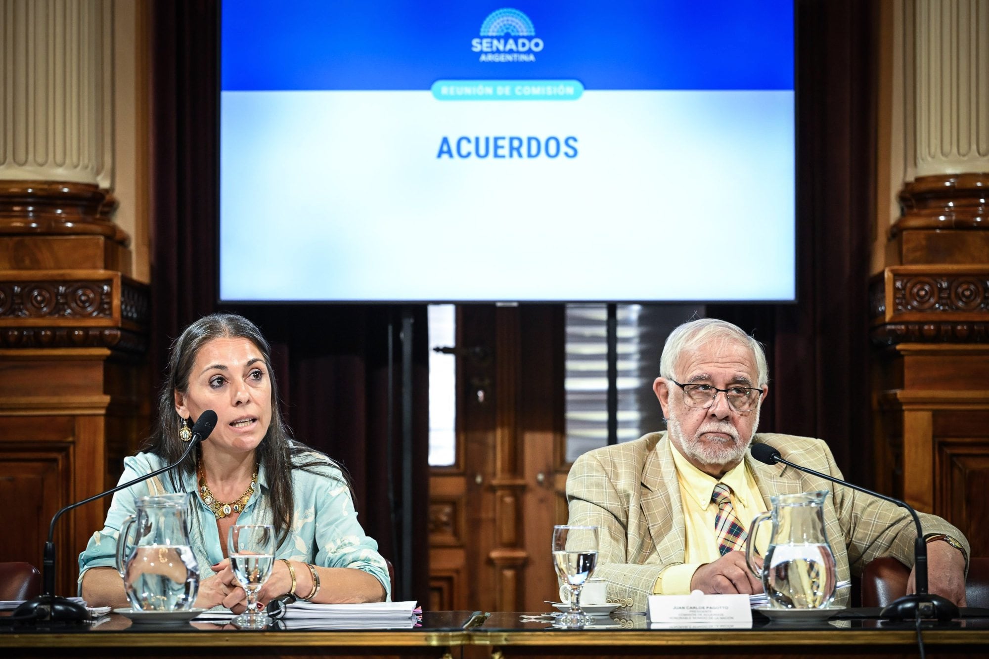 La Comisión de Acuerdos, presidida por el senador Juan Carlos Pagotto (LLA), se reunió la semana pasada para evaluar el pliego de Lucila Crexell como embajadora ante Canadá