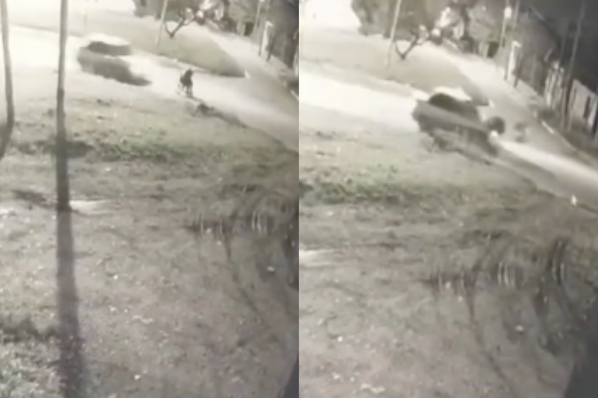 Video: un conductor atropelló a un hombre en silla de ruedas en La Plata