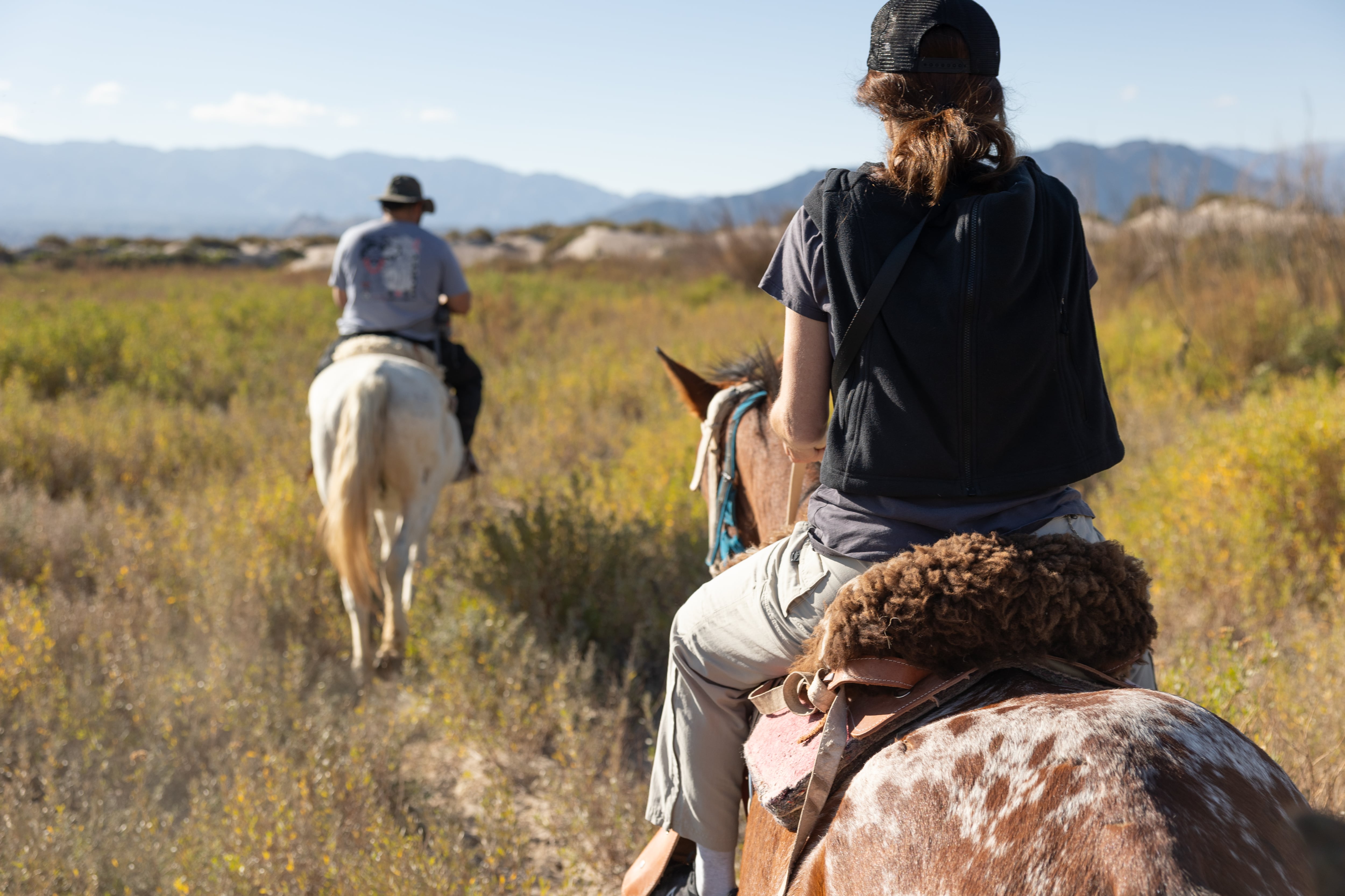 Cabalgata de Arrieros Somos.