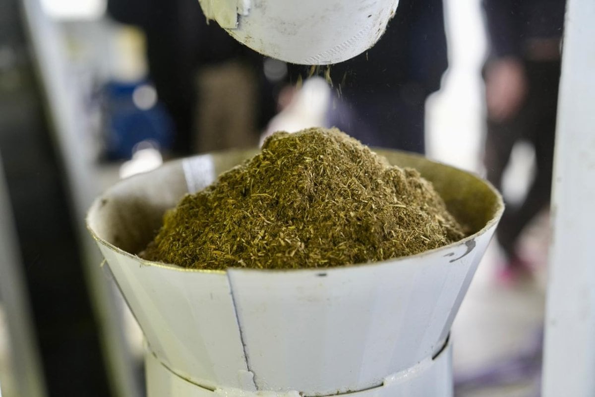 Pellet de la planta puesta en funcionamiento en Gobernador Gregores