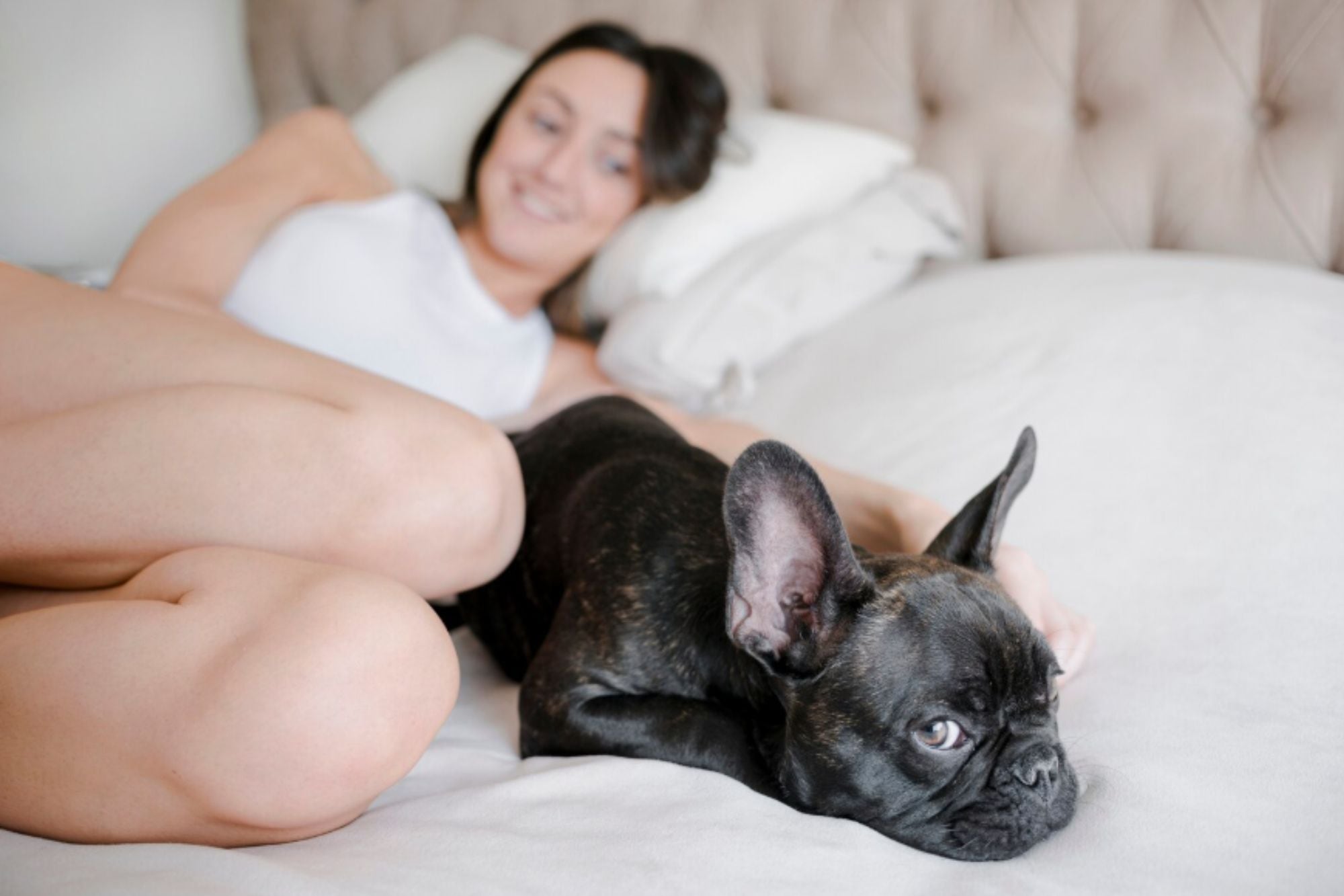Tại sao chó thích ngủ cùng chủ và ý nghĩa của hành vi này