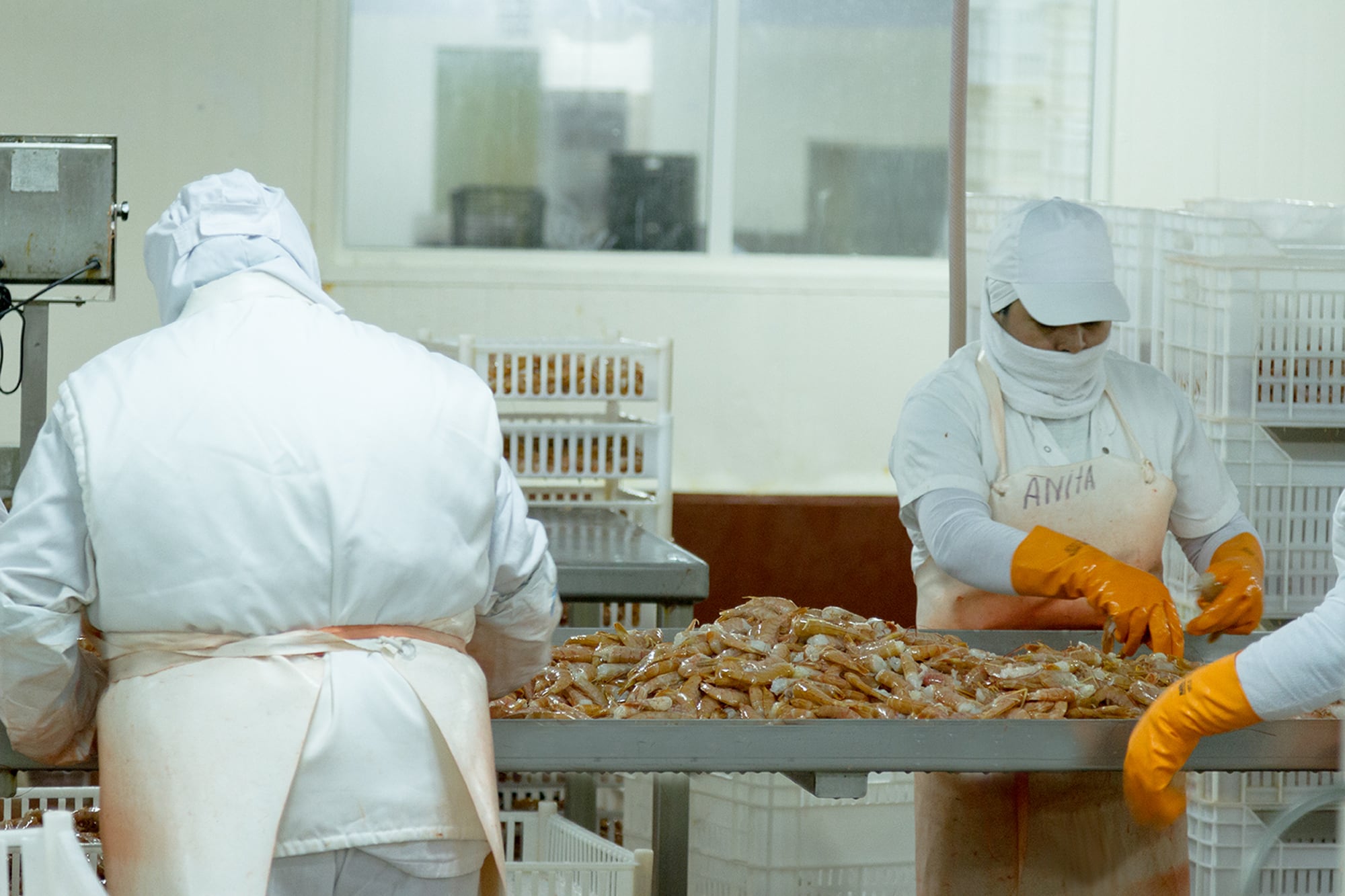 El complejo pesquero generó exportaciones por US$1416,3 millones en los siete meses del año, según los datos del CAA