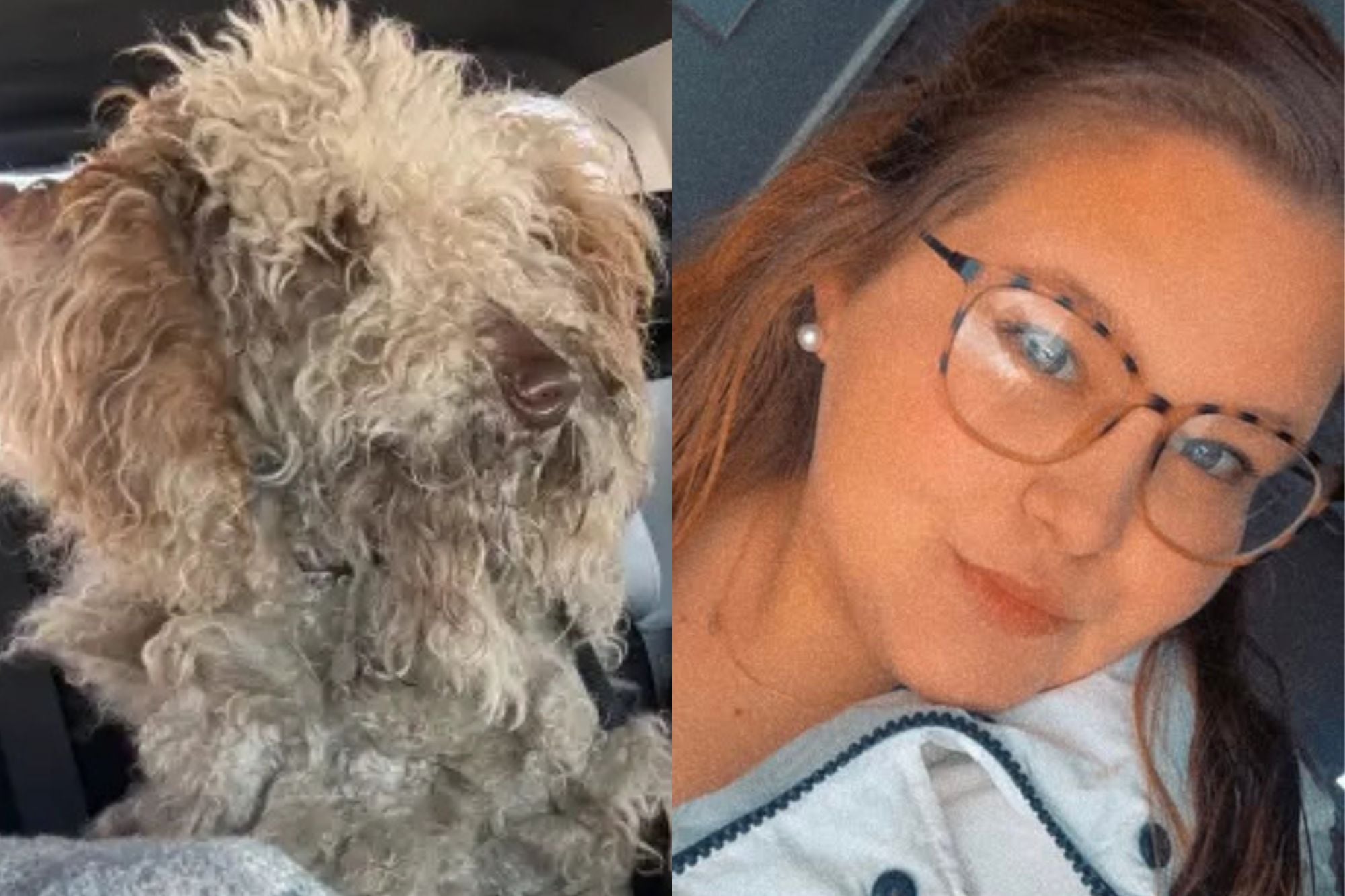 Salvó a un perro de morir congelado, pero ahora podría ir a la cárcel en Carolina del Norte: “Lo haría de nuevo”