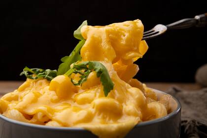 Macaroni and cheese