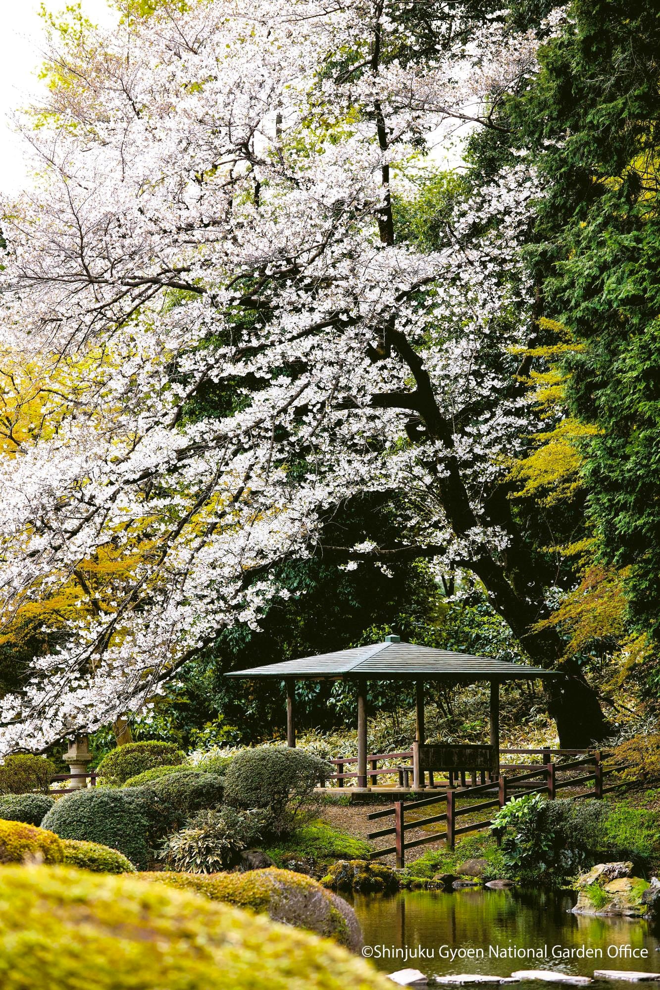 La presencia de agua es un elemento fundamental en los jardines japoneses