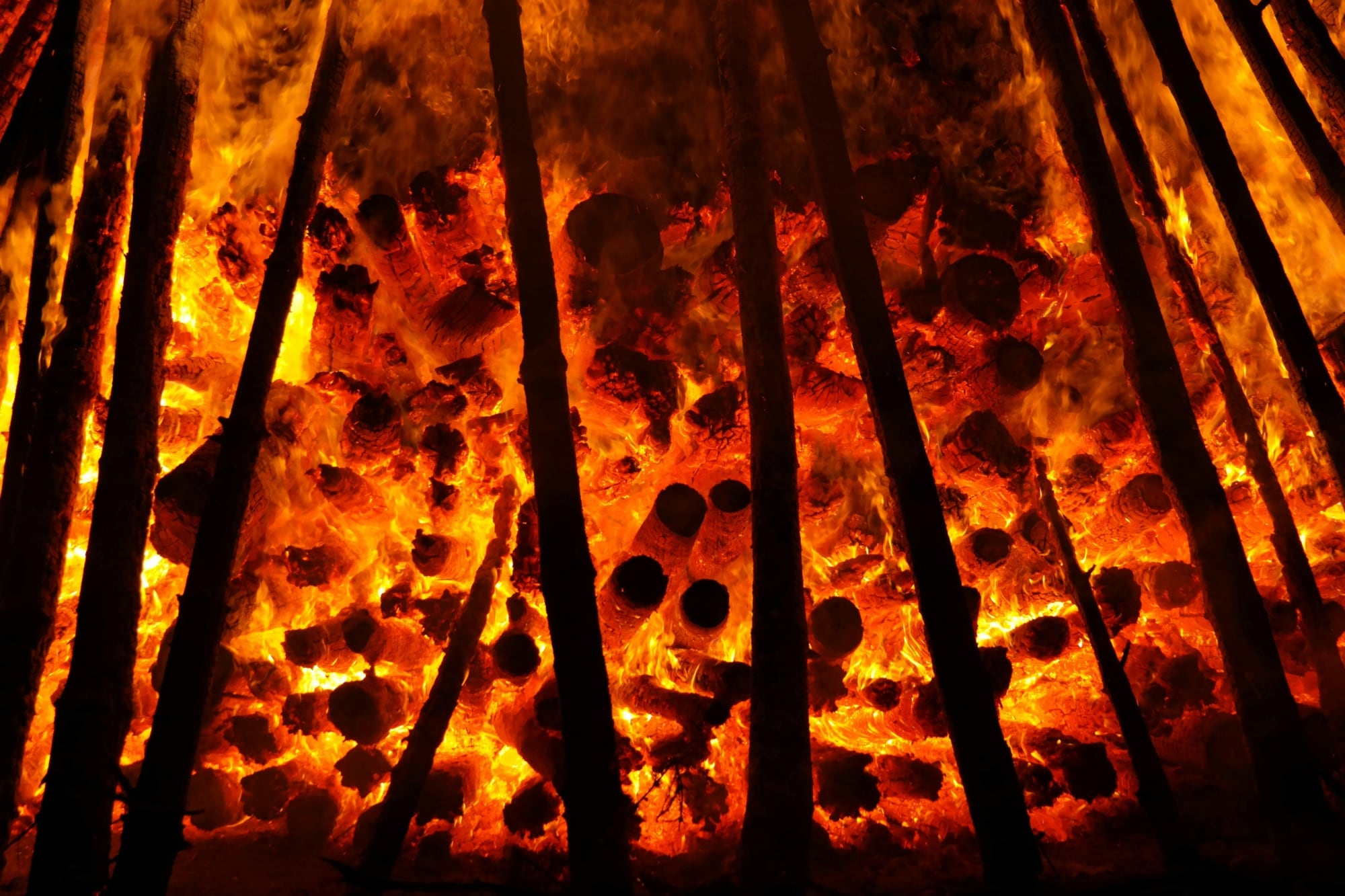 Las nuevas aseguradoras ofrecen cobertura para incendios