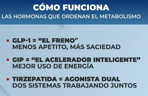 Así funciona el Tirzepatida en el metabolismo