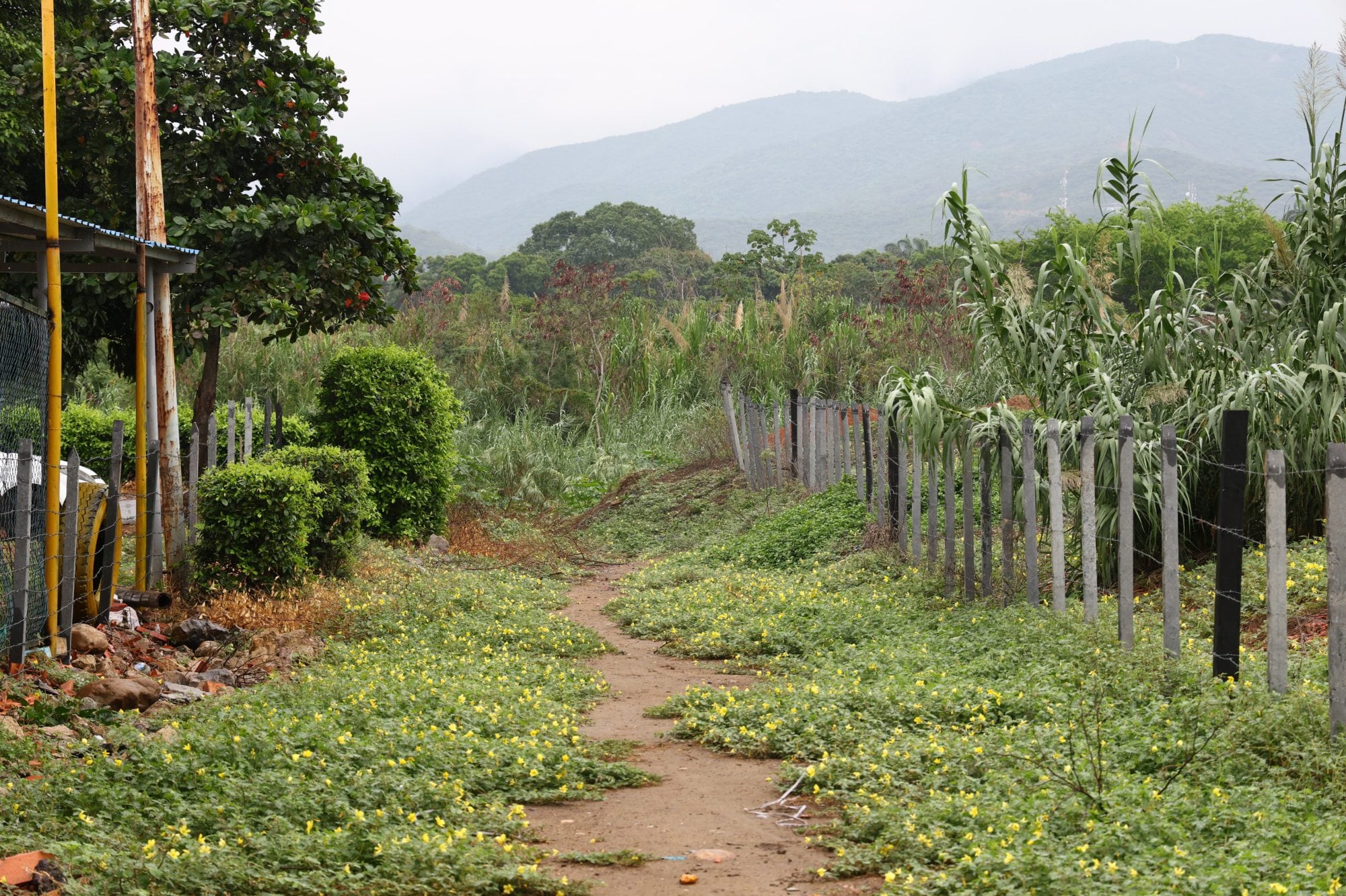 Caminos de ingreso a las trochas, senderos peatonales que se usan para contrabando controlado por el ELN.
