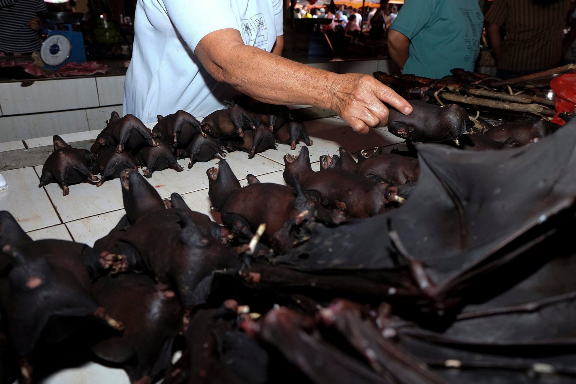 La venta de murciélagos en el mercado de Wuhan quedó bajo la lupa de los expertos desde el inicio de la pandemia