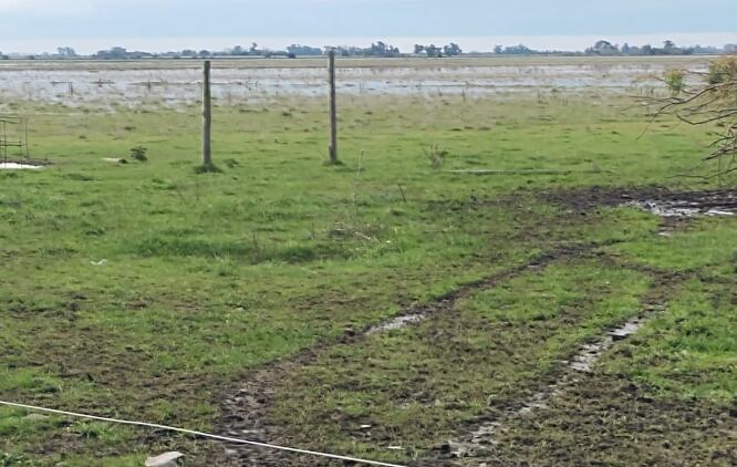 Campo inundado en Chivilvoy