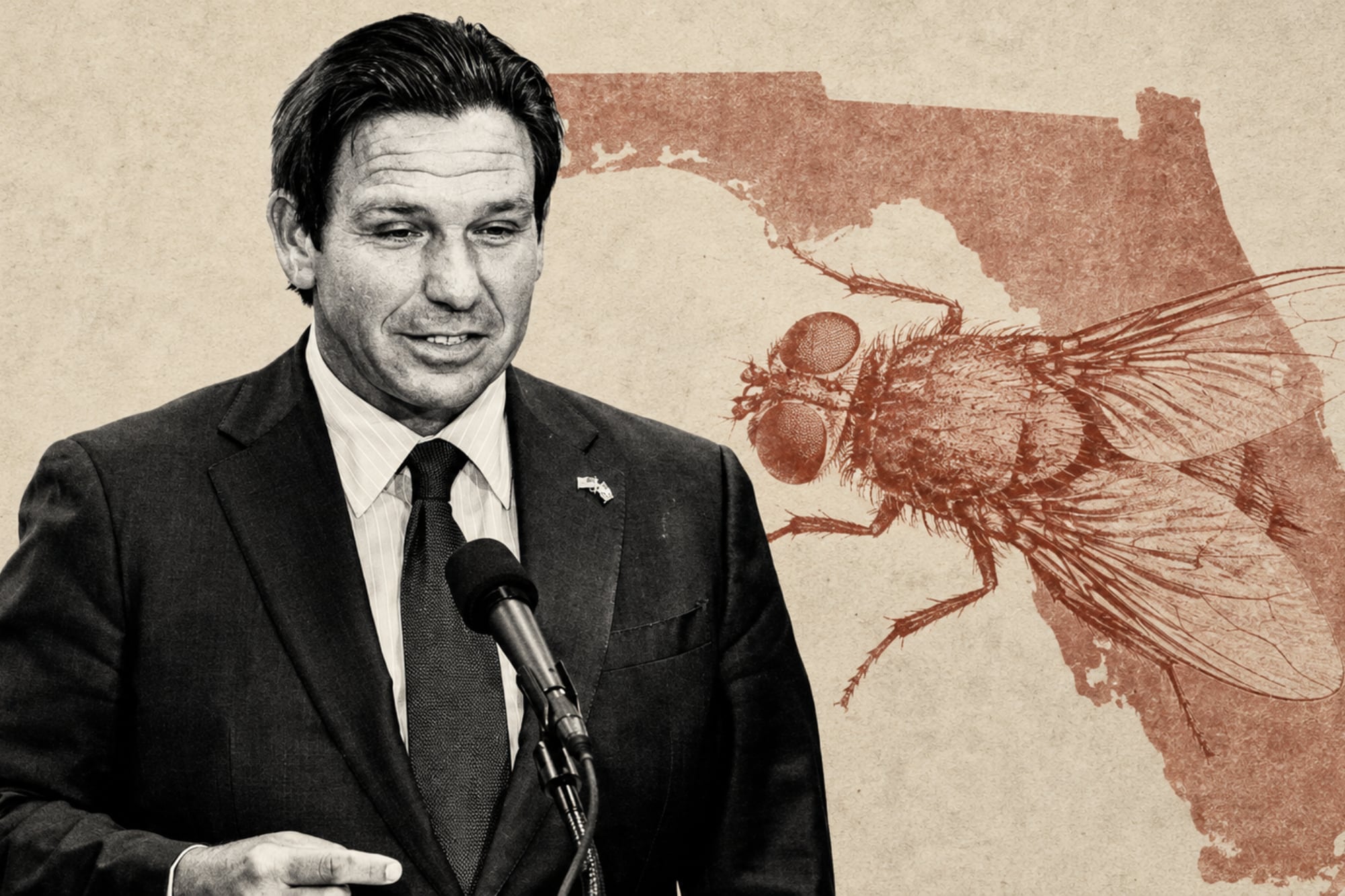 Oficial en Florida: el gobernador DeSantis extiende la emergencia ante una plaga que sigue acechando en agosto