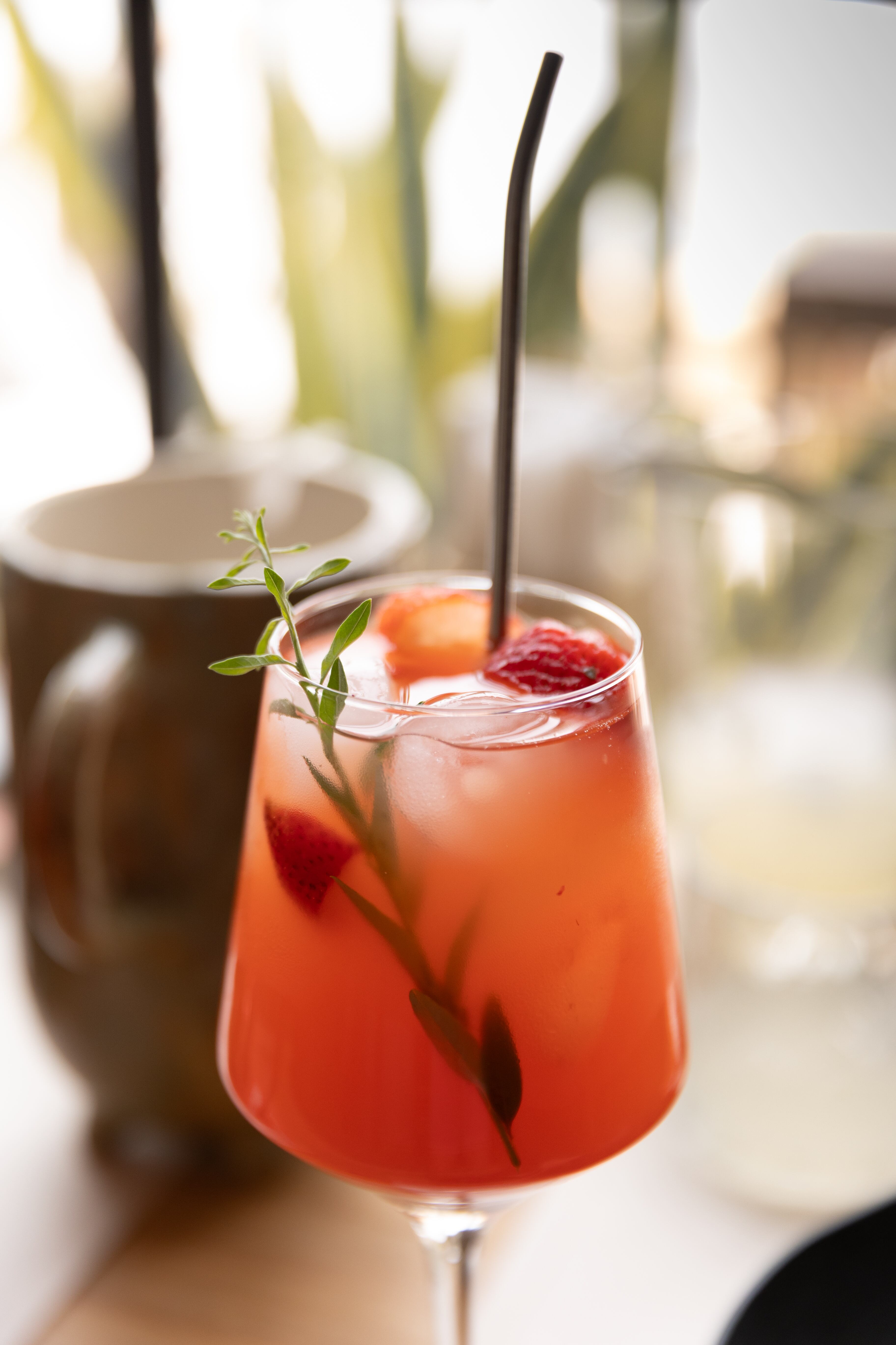 Buenos tragos y bebidas frescas para matizar los calores santiagueños