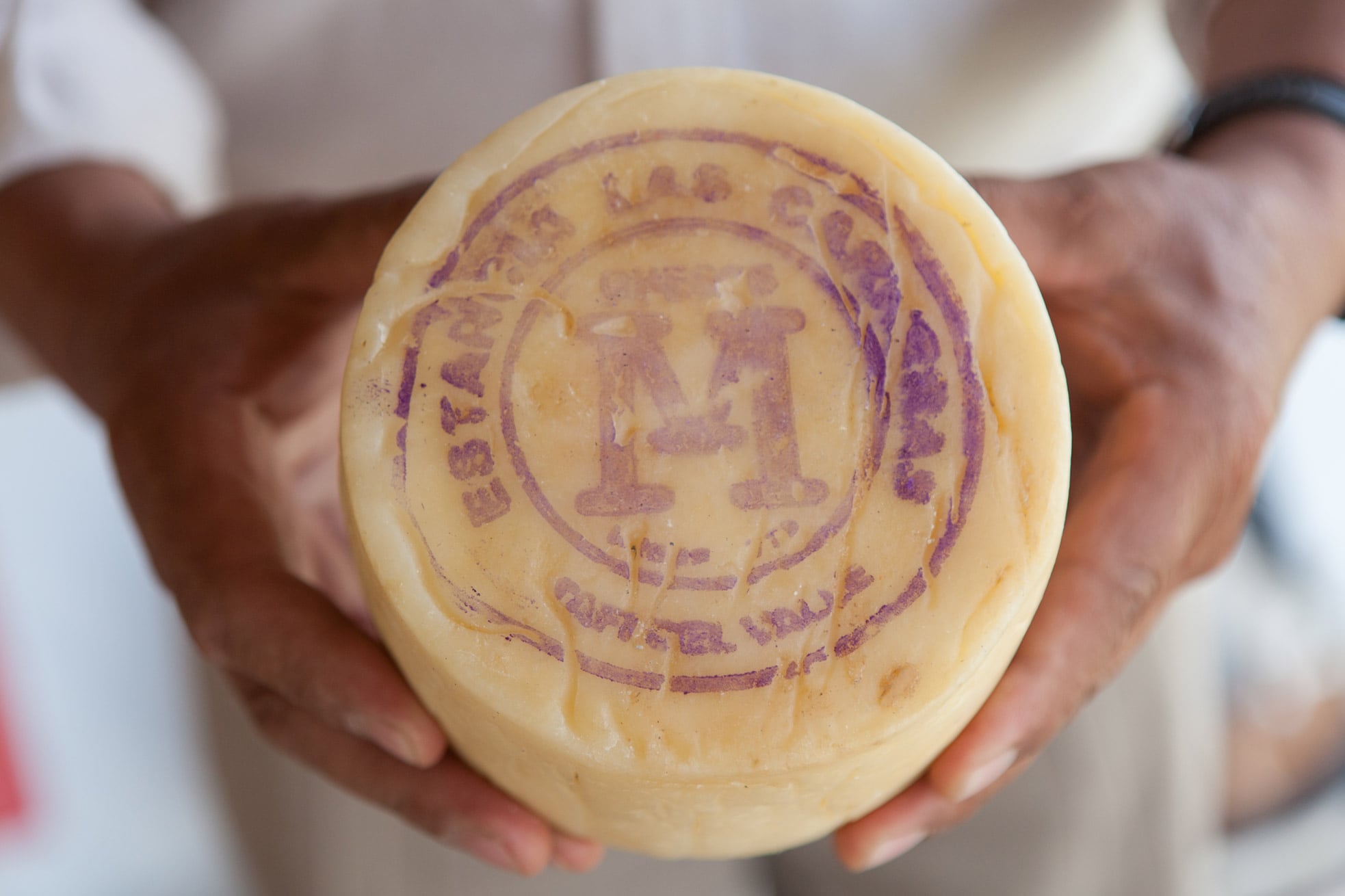 “Importancia histórica”: el queso de Tafí del Valle, donde se produce hace más de 500 años, es el primer lácteo del país con Indicación Geográfica
