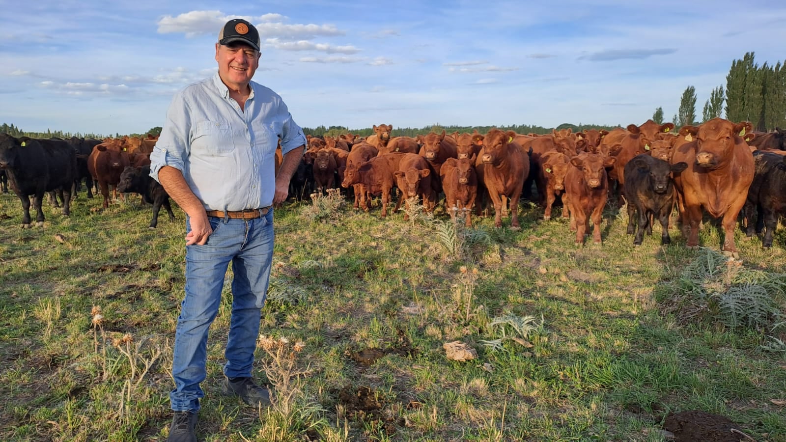 Ya vende 30 toros por año: se fue a la Patagonia y comenzó de cero un ambicioso proyecto en un lugar hoy muy pujante