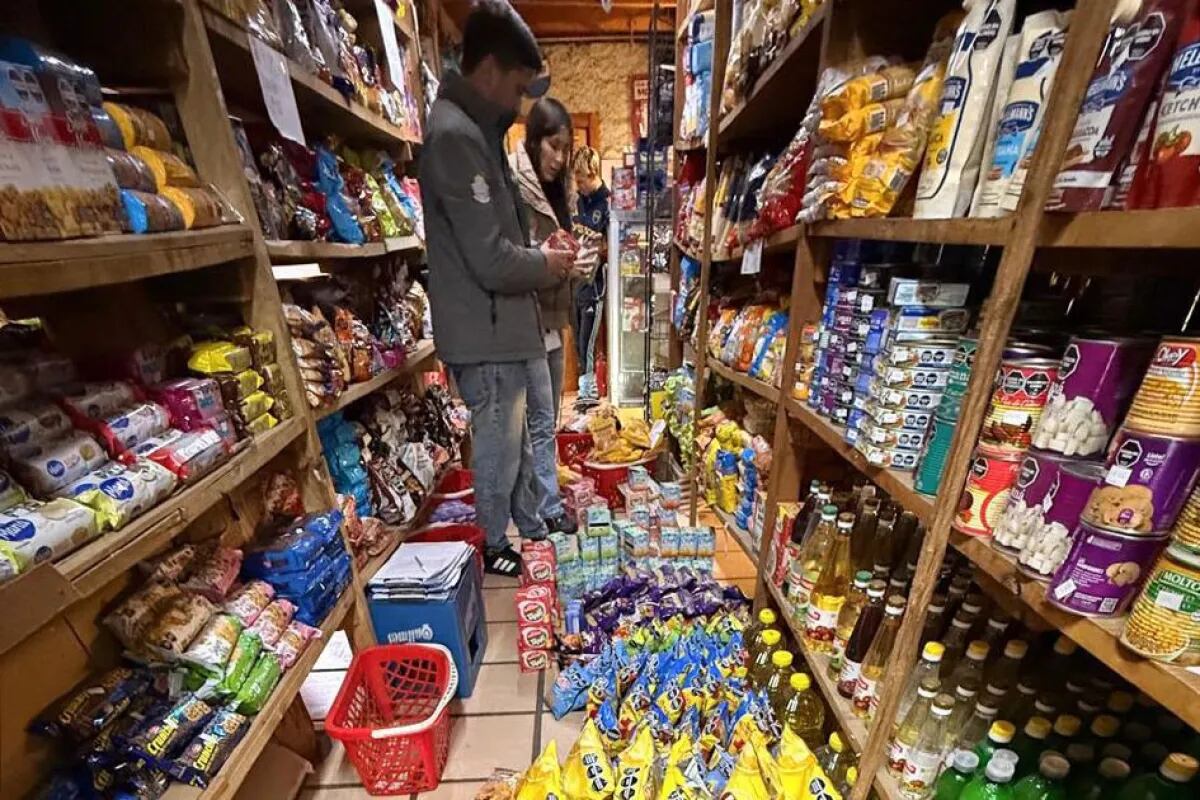 Más de 1500 productos vencidos fueron detectados en el comercio en Villa Traful.
