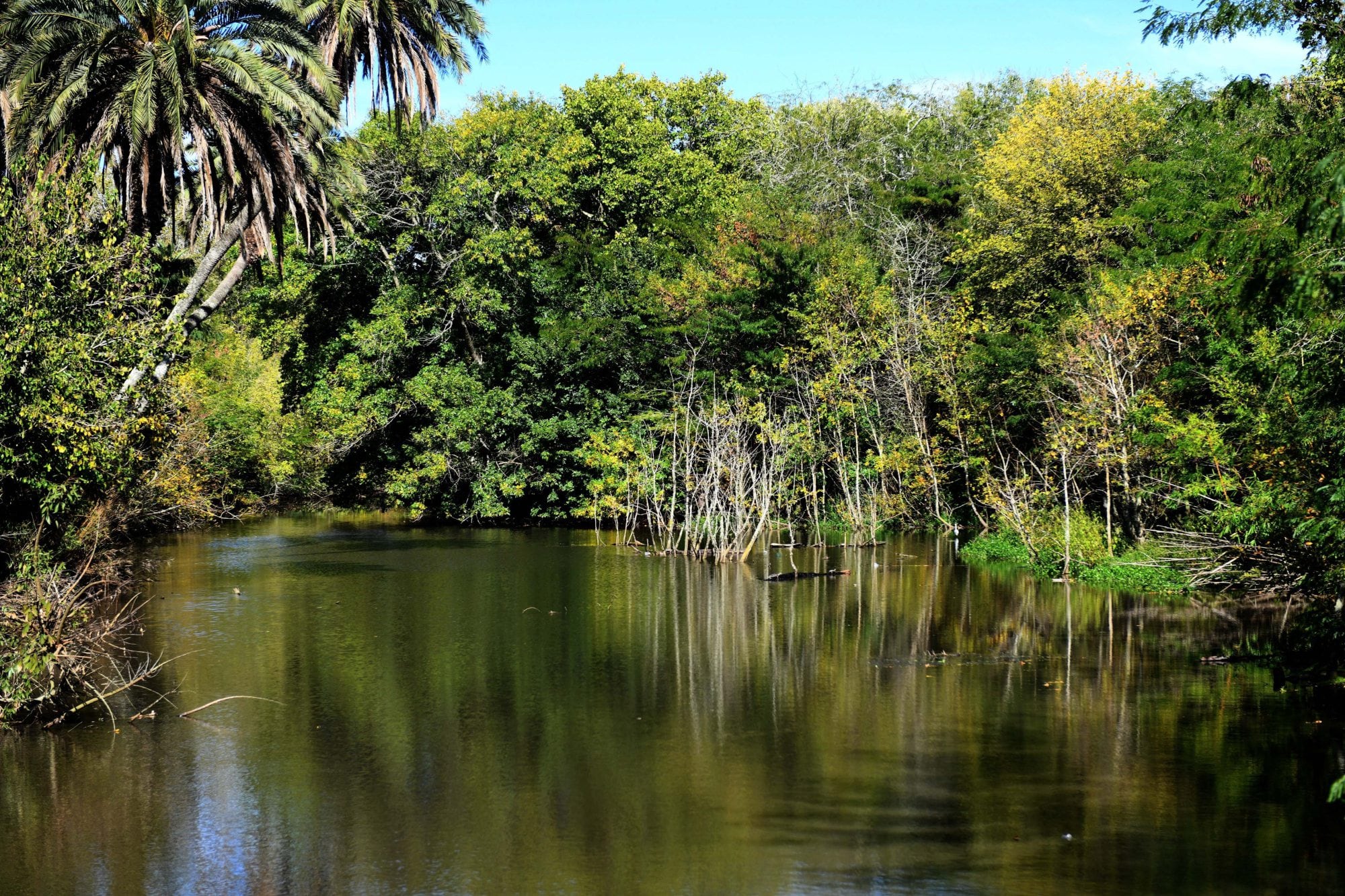 La Unesco decidió en 2007 designar como Reserva de Biosfera al Parque Pereyra Iraola, el pulmón verde más grande que tiene el Área Metropolitana de Buenos Aires