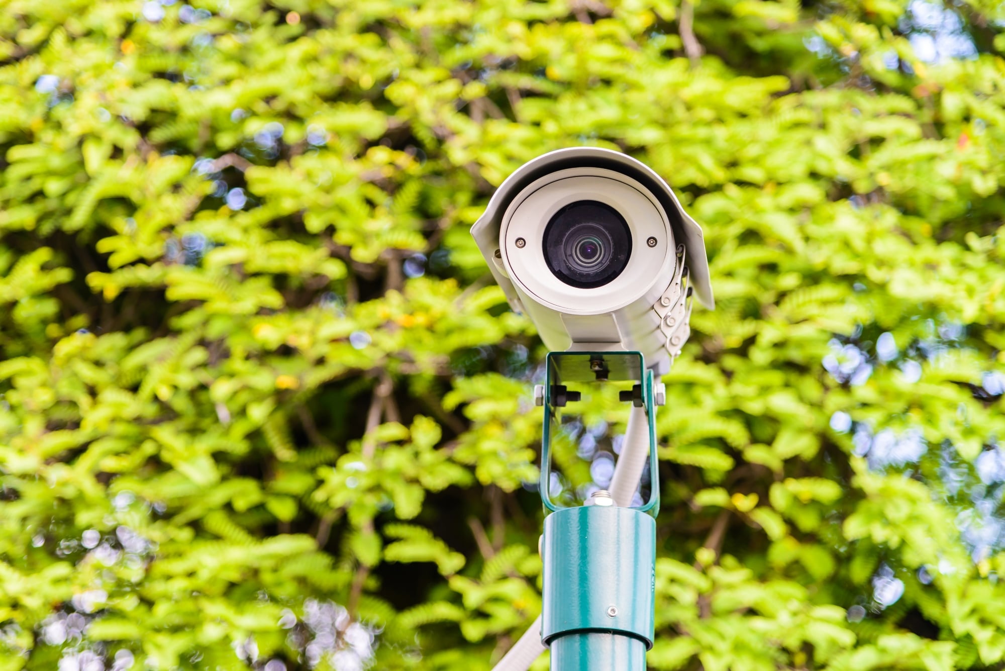 Las infracciones de tránsito prescriben y es necesario presentar un descargo para solicitar su baja