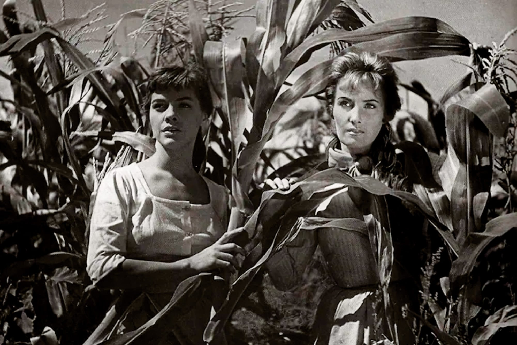 Junto a Silvia “Goldy” Legrand en el film Campo arado, en 1959