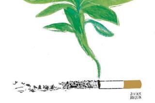 La versión saludable del tabaco