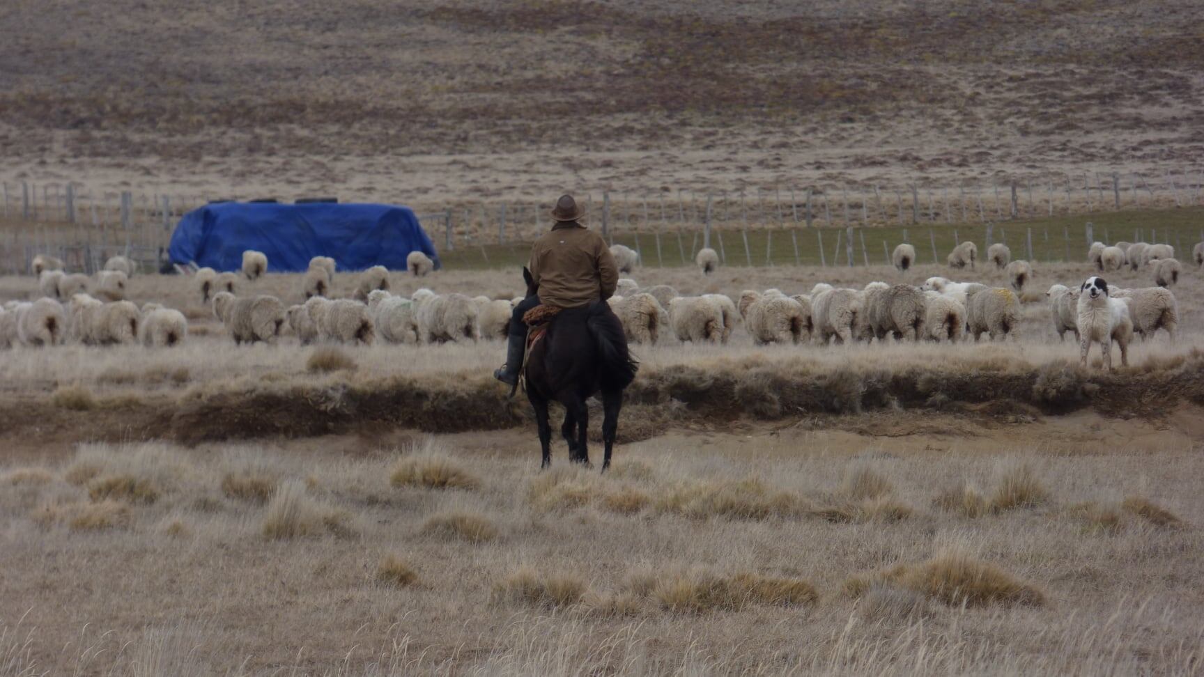 Estancia Guazú Cué, Tierra del Fuego