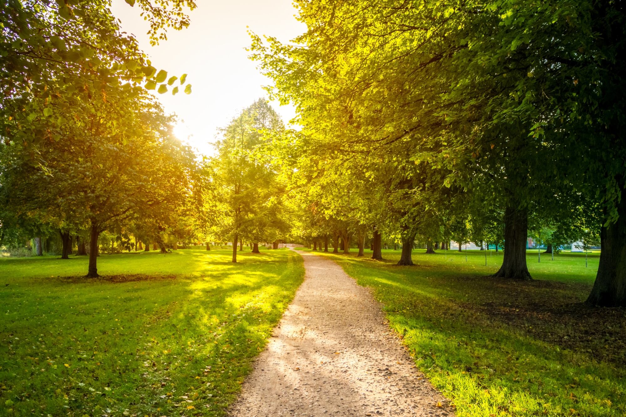 Durante la primavera, las temperaturas comienzan a subir y los días empiezan a ser más largos (Archivo)