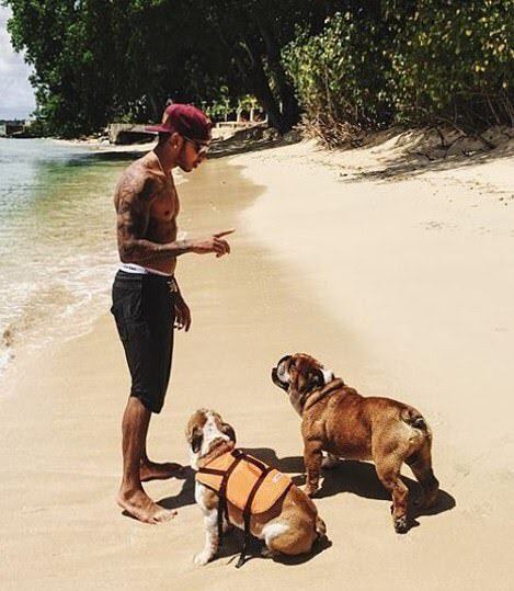 Hamilton junto a Roscoe y Coco