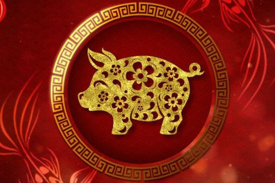 ¿Cómo les irá a las personas nacidas en un año Cerdo en 2025?