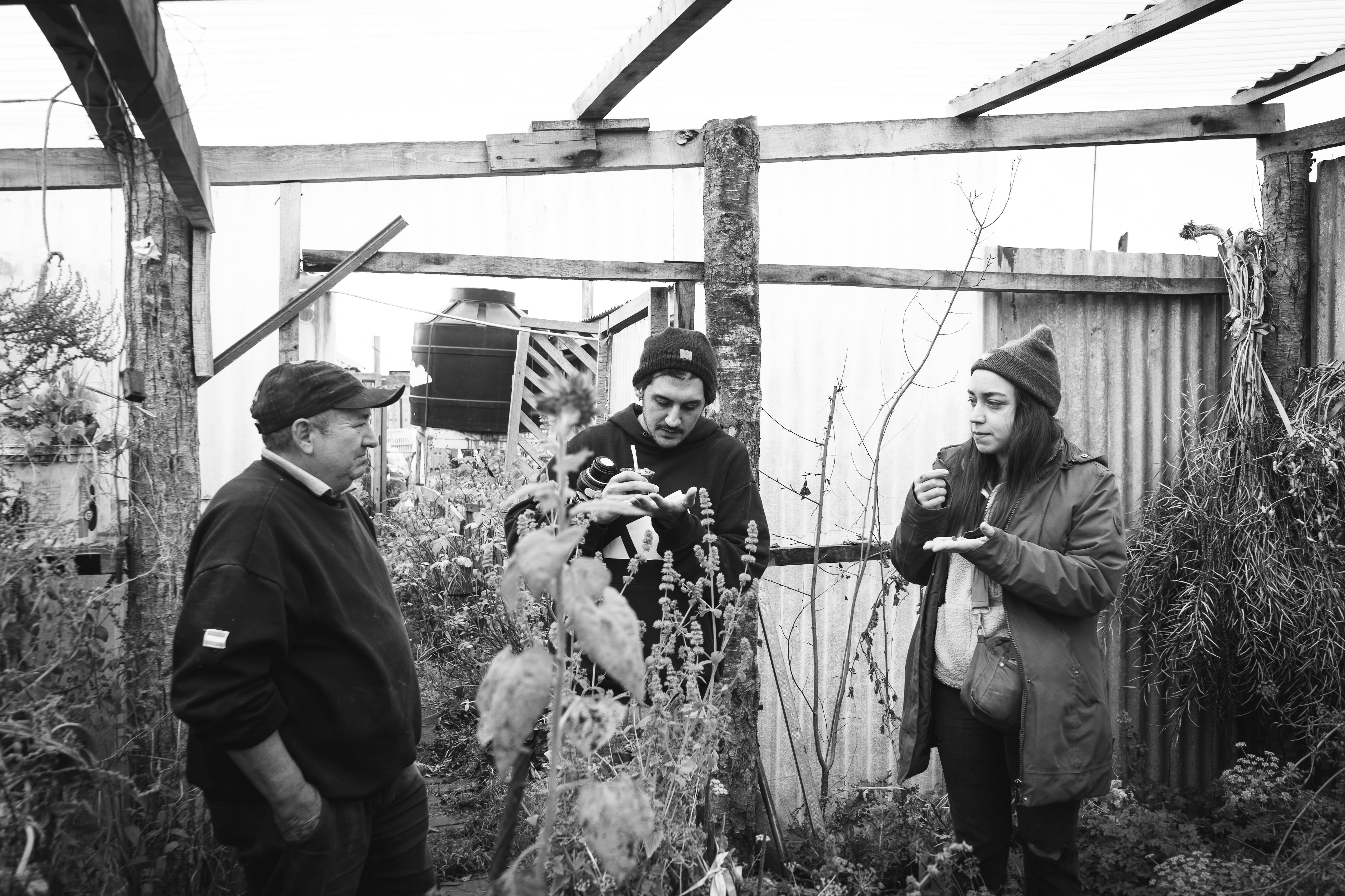 La búsqueda de los productores es esencial en el concepto de Crujiente