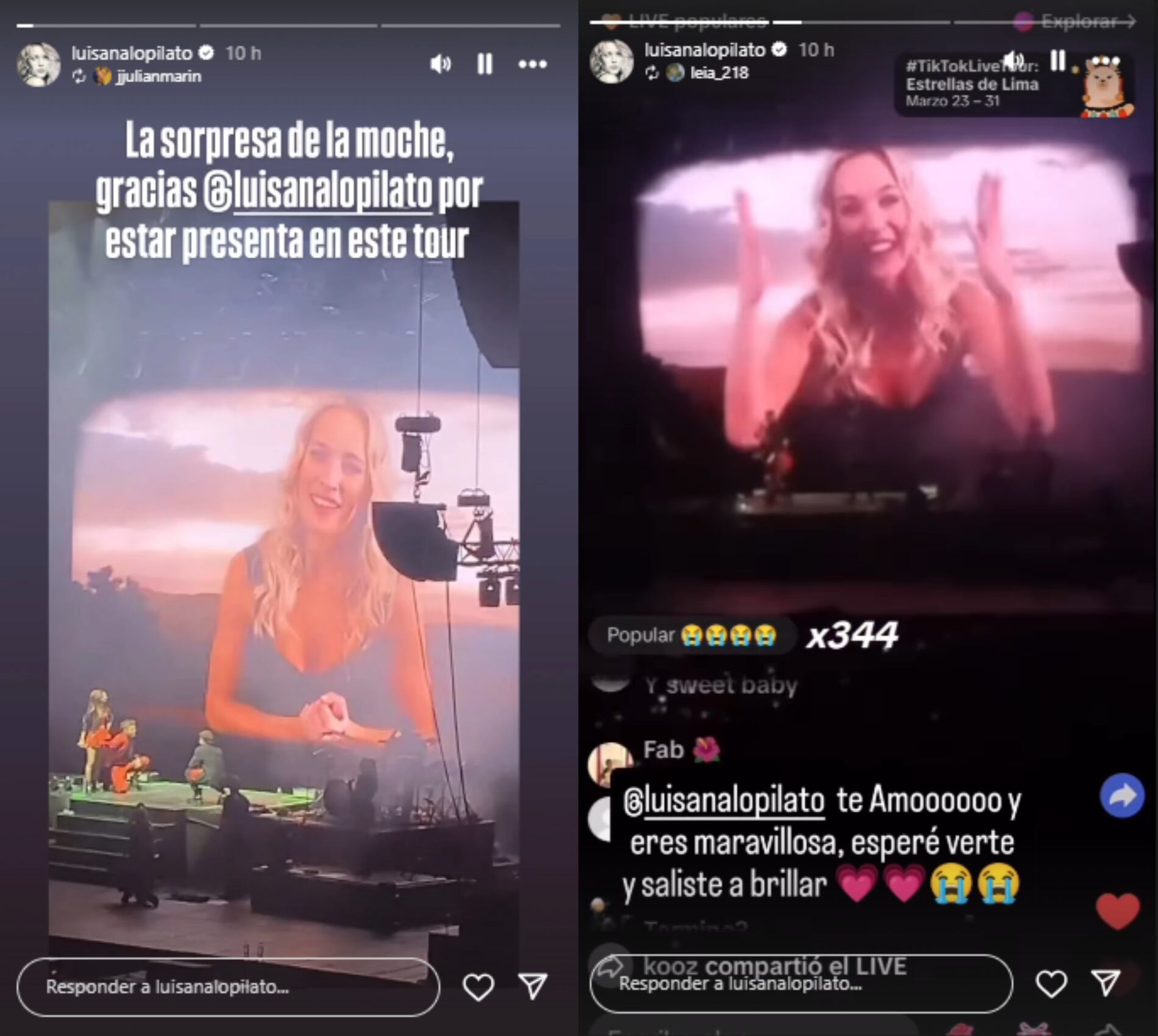 Lopilato compartió algunos de los mensajes de sus fans (Foto: Instagram @luisanalopilato)