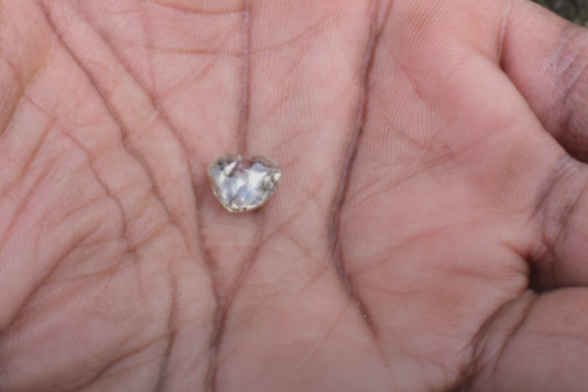 Perdió a su hijo y a su padre, viajó a Arkansas para distraerse y encontró un diamante que brillaba en el barro 7 El hallazgo ocurrió en el único parque del mundo donde el público puede buscar diamantes naturales