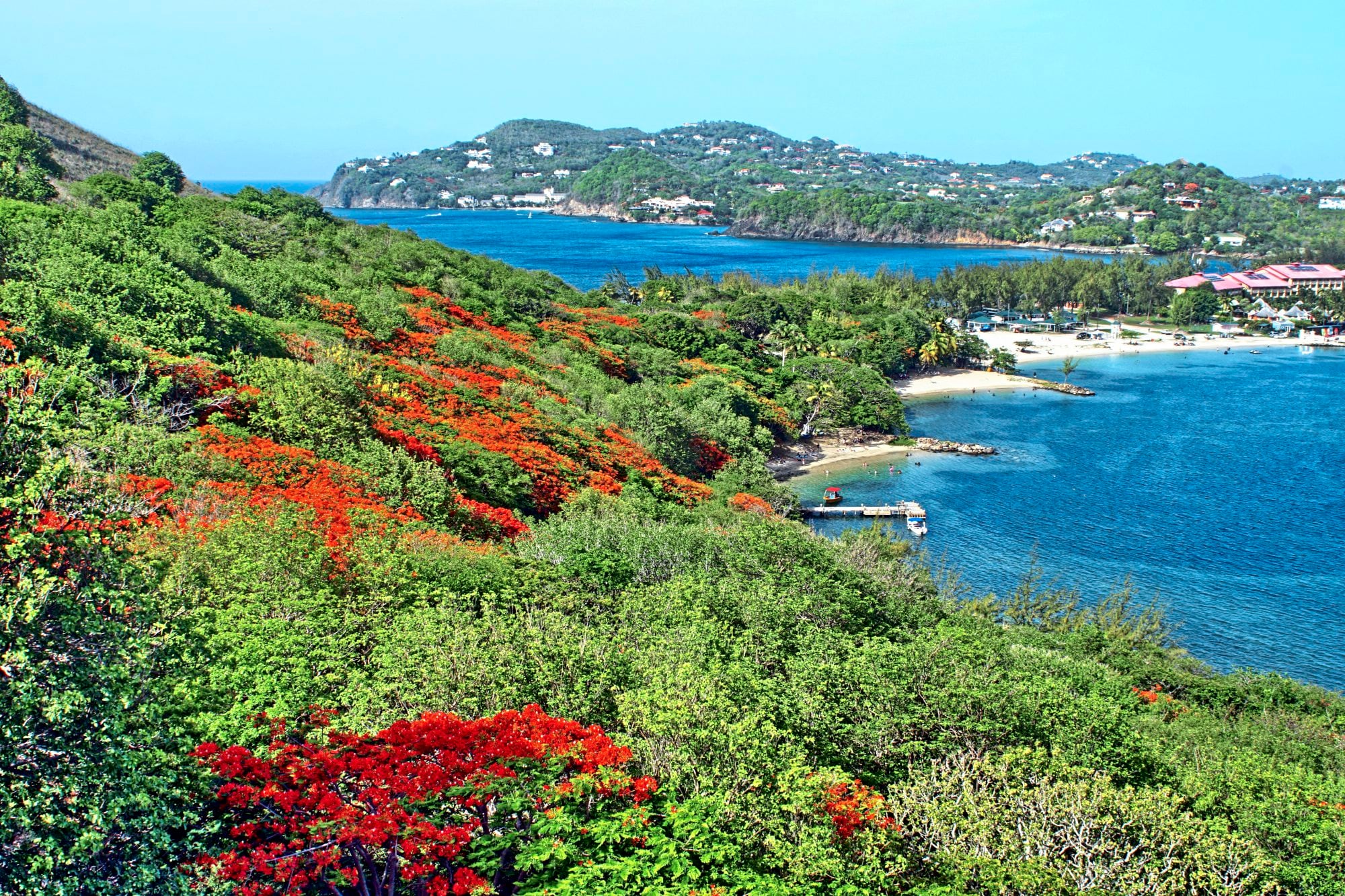 Árboles en la ladera de Pigeon Island, Santa Lucía, con los complejos turísticos de Rodney's Bay a lo lejos