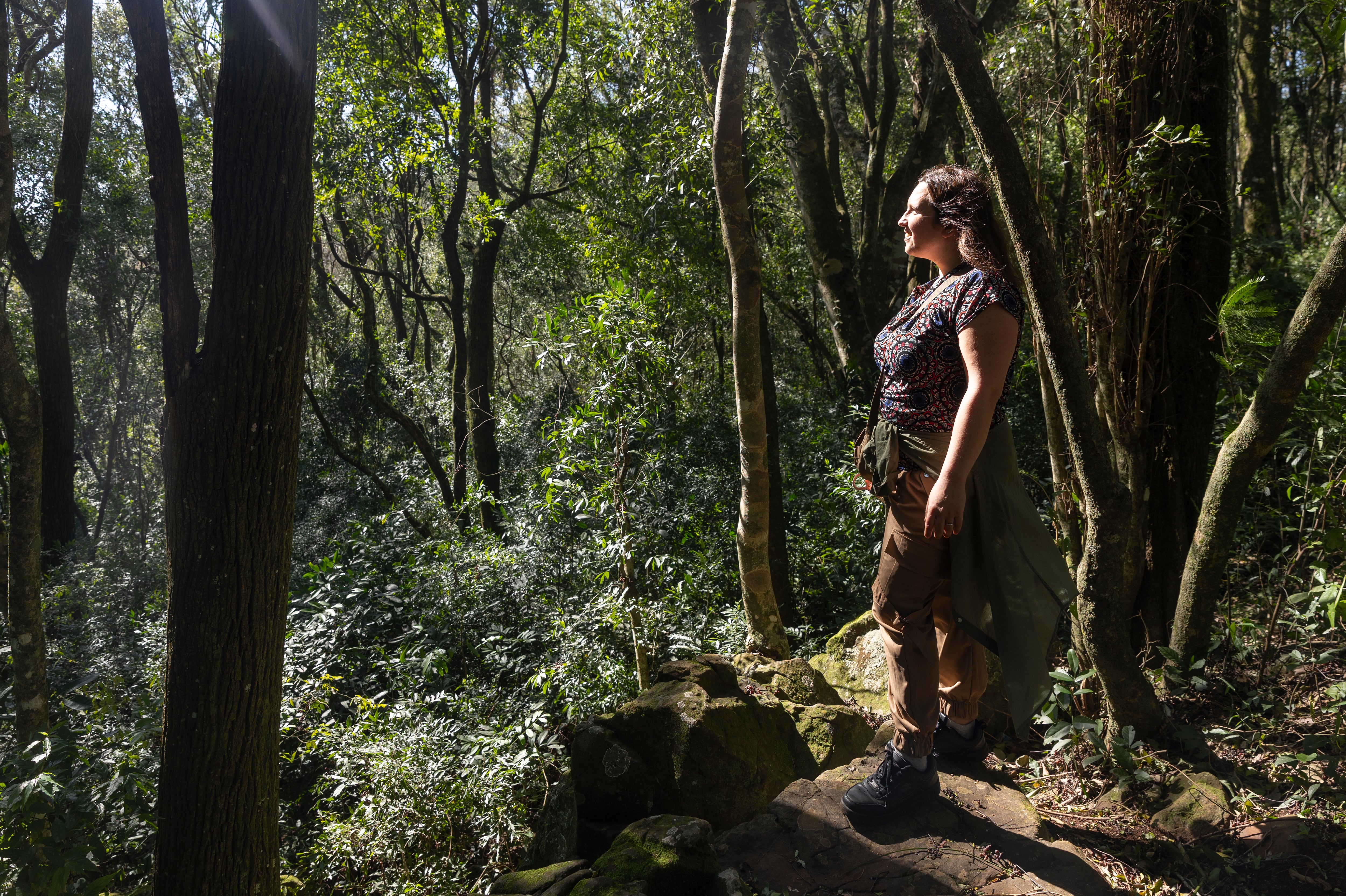 El Parque Salto Berrondo es ideal para disfrutar del entorno natural.