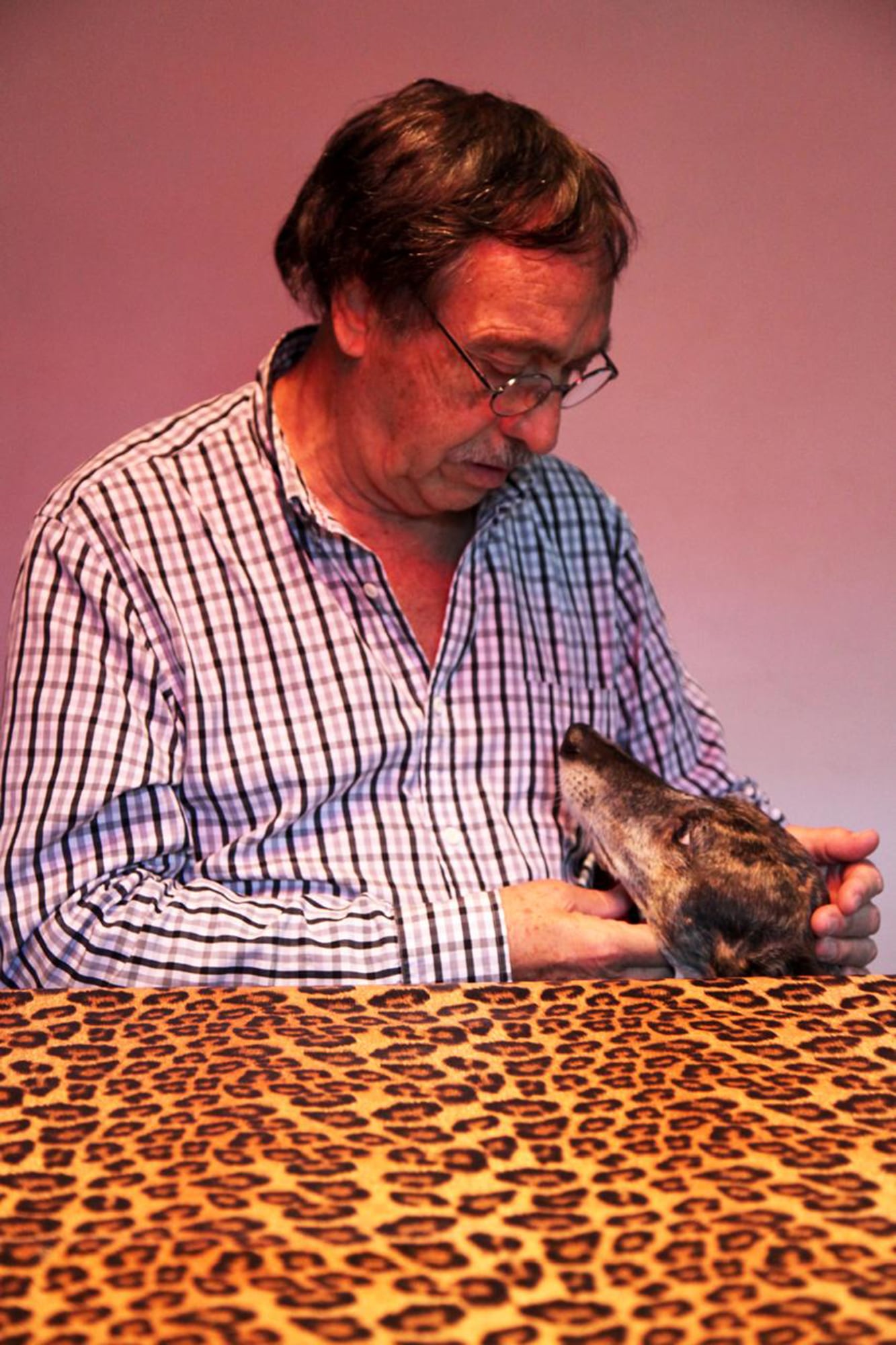 Brandoni defendió la ley de prohibción de las carreras de perros; en la foto, con su galga rescatada