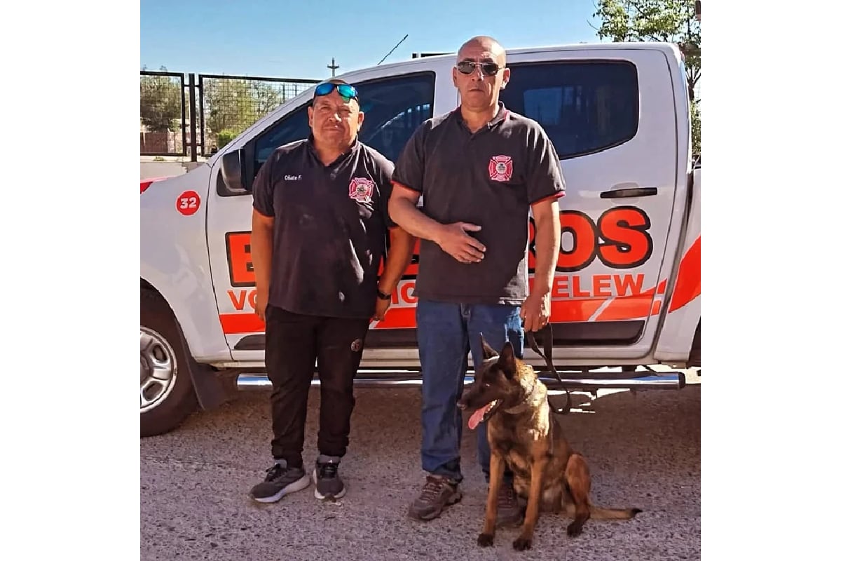 Cali the dog is part of Trelew Fire Brigade Unit 32.