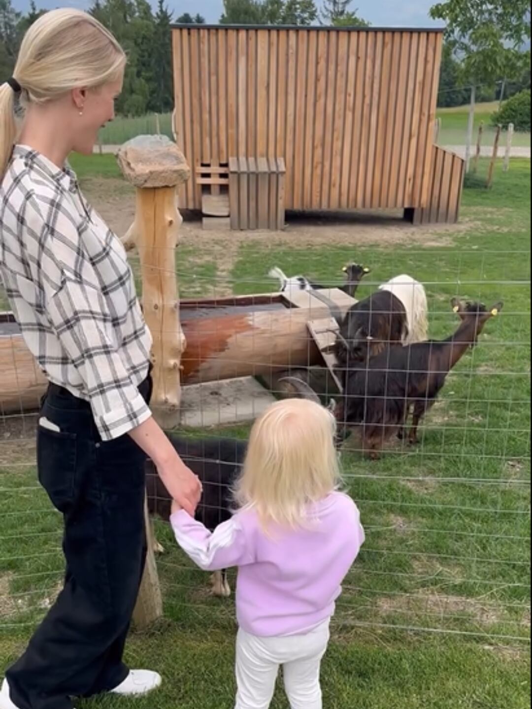 La pequeña Elle quedó encantada con los animales (Foto: Instagram @danielachristiansson)