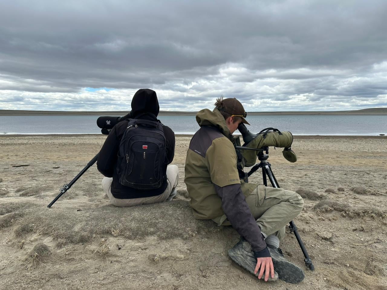 Hay menos de 1000: un acuerdo de “convivencia” permitirá proteger a una de las aves más amenazadas