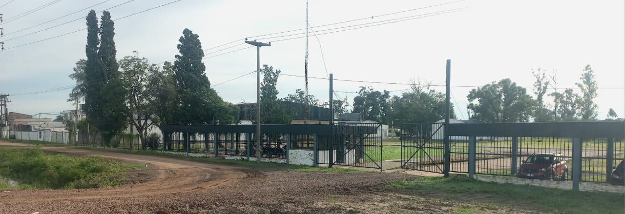 Con esta expansión, Schiffo planea incorporar a 400 nuevos operarios de manera directa y alrededor de 1000 puestos de trabajo entre indirectos y tercerizados