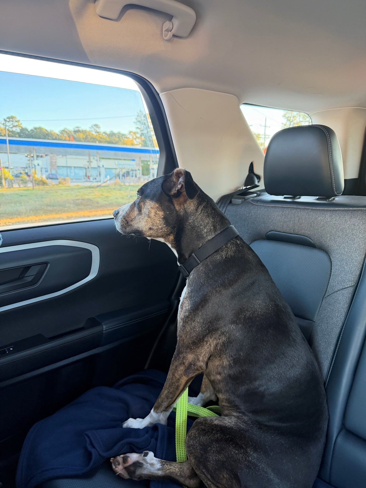 Cookie Marie se integró a la rutina de la estación de bomberos.