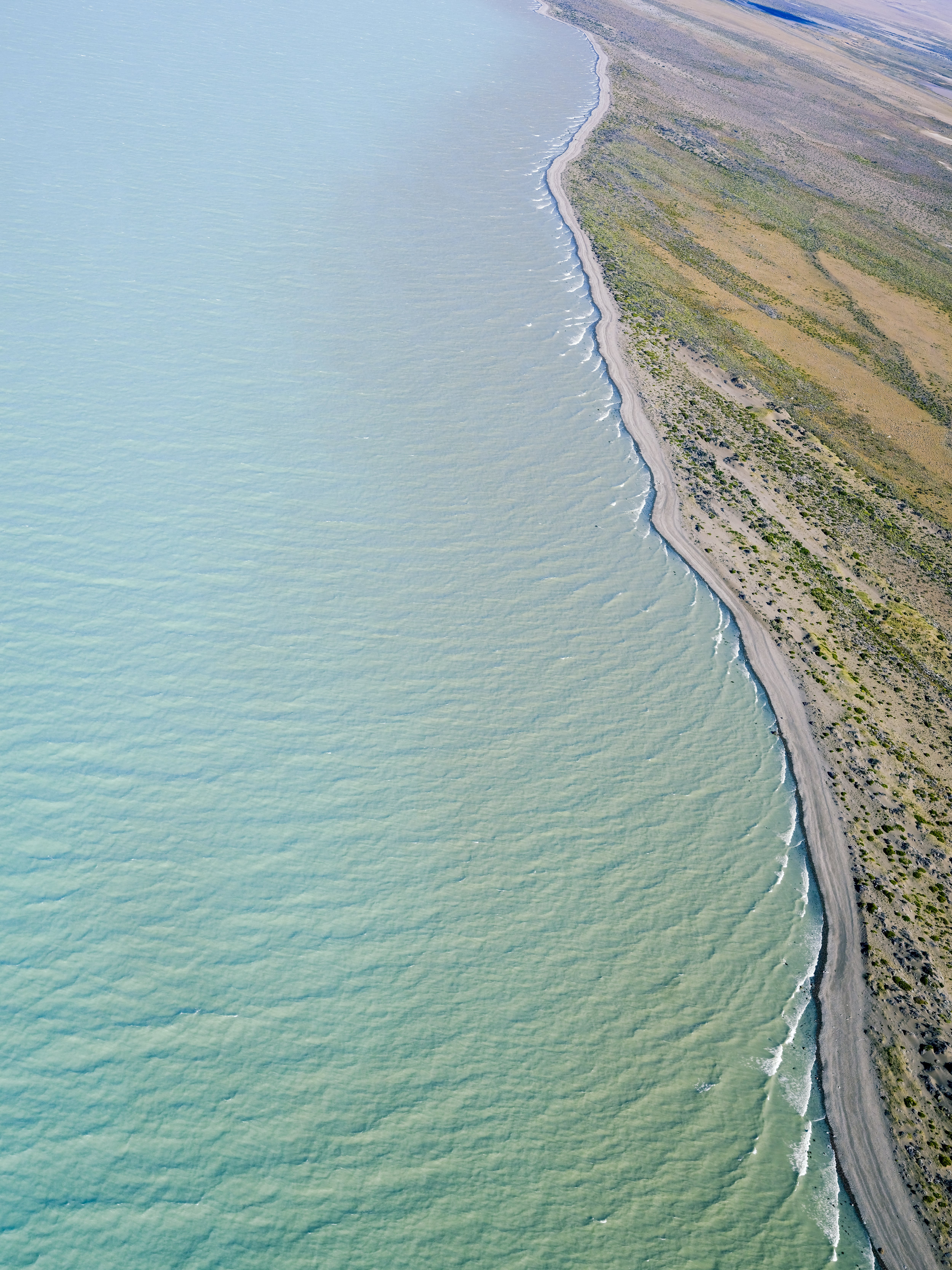 La costa del Lago Argentino