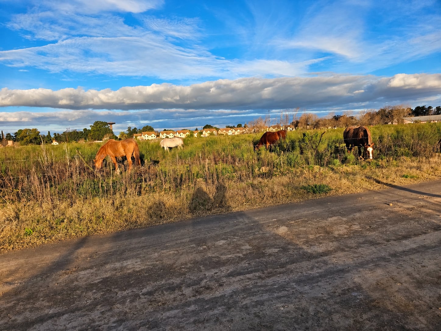 La ciudad enamora por sus paisajes soñados