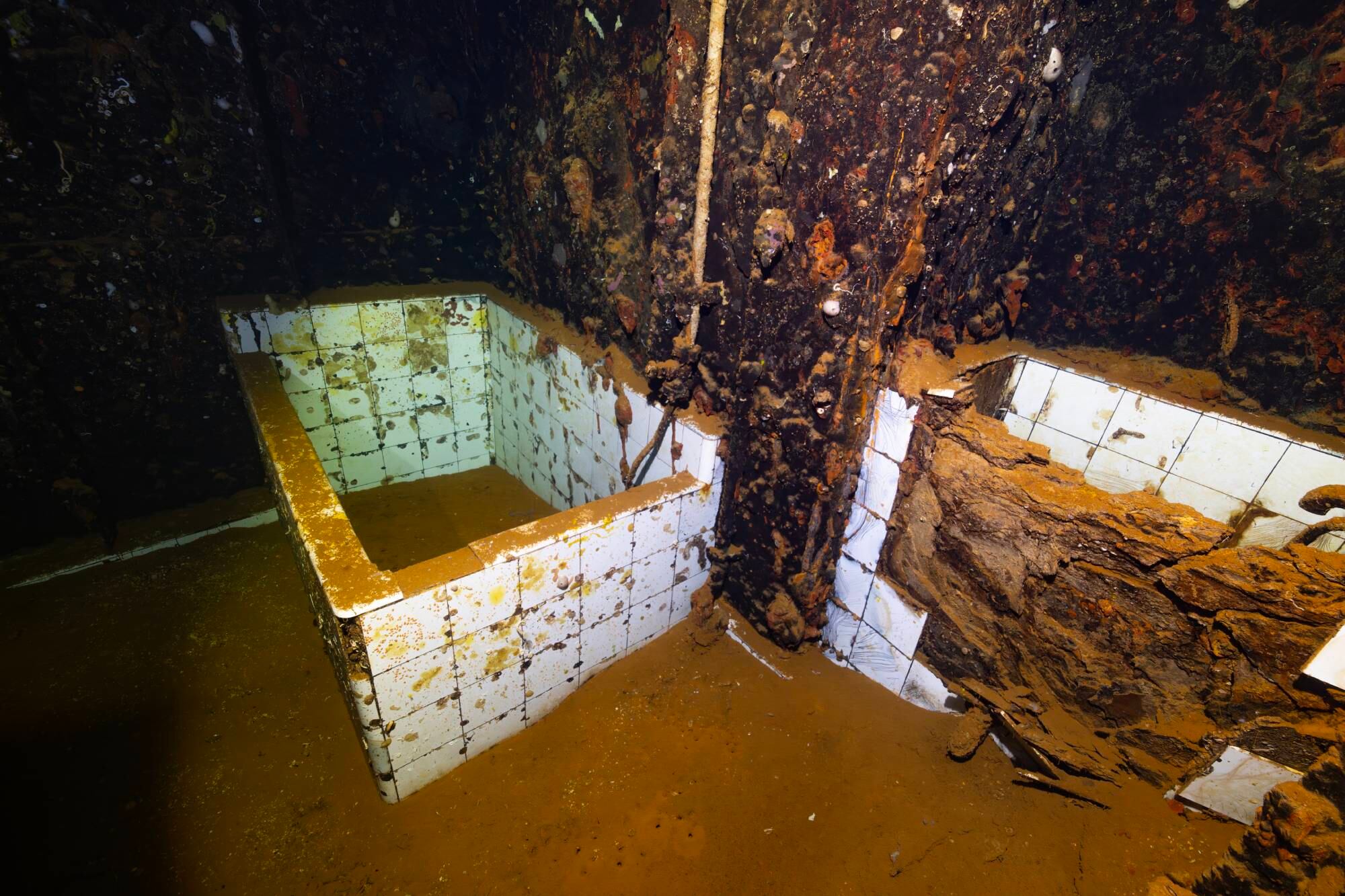 El baño del Seiko Maru