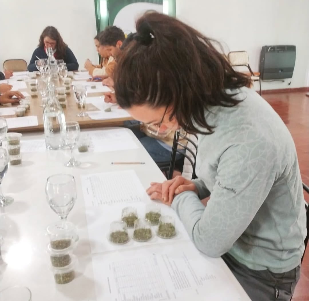 El sello significa que el producto pasó por un estricto proceso de vigilancia desde la finca hasta el envase, con controles químicos y sensoriales realizados por profesionales, que garantizan la genuinidad y calidad del producto