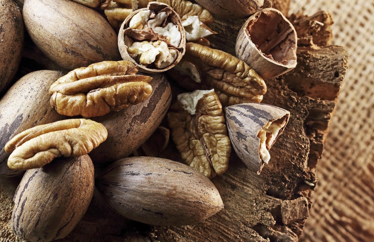 Nueces: cuántas hay que comer por día para aprovechar sus beneficios