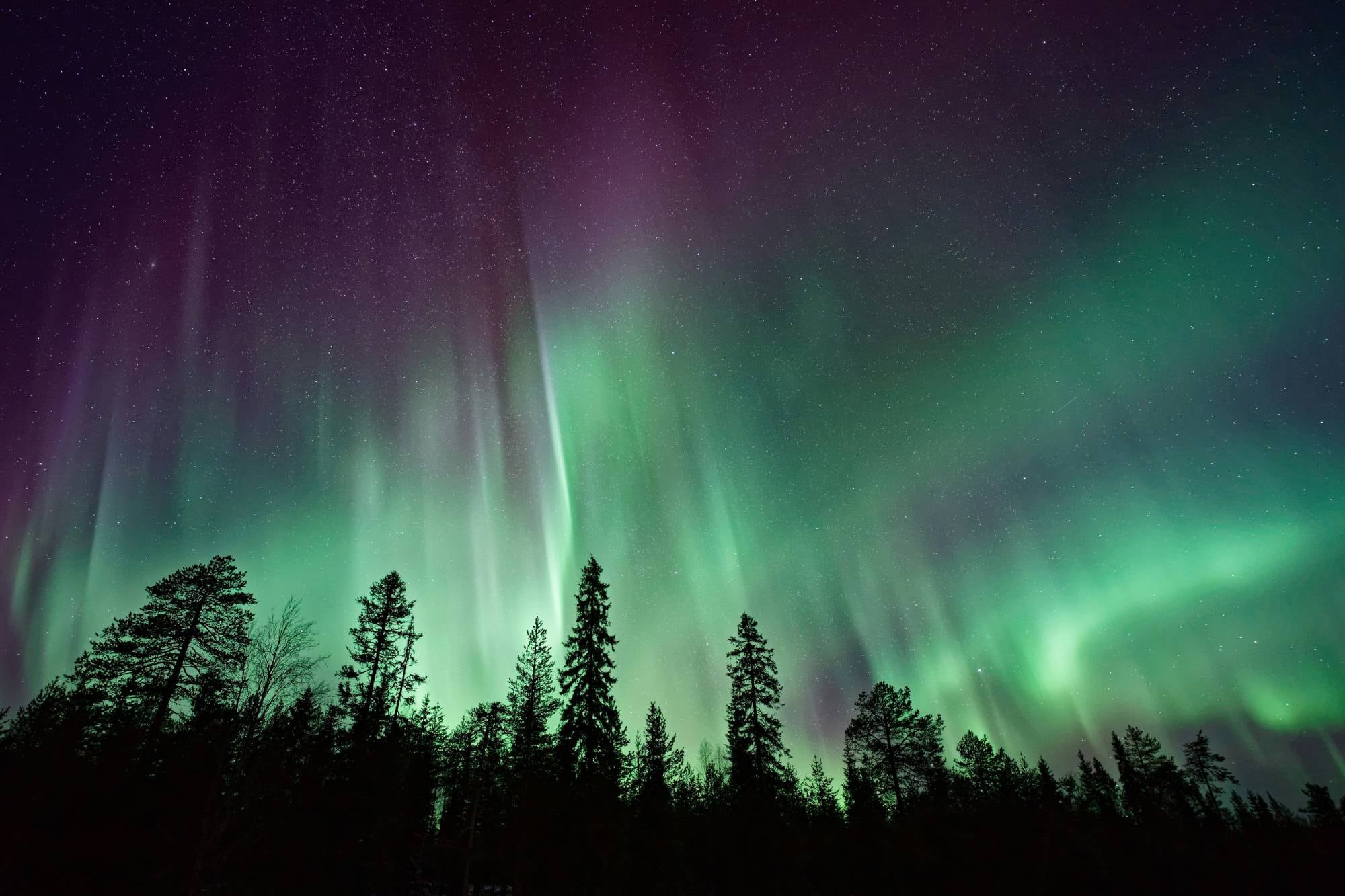 Anuncian un espectáculo astronómico: “El eclipse total de agosto 2026 puede ser visible junto a auroras boreales”