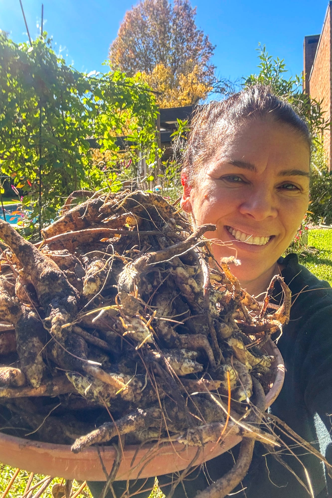 Gabriela Creciente junto a su cosecha de topinambur.