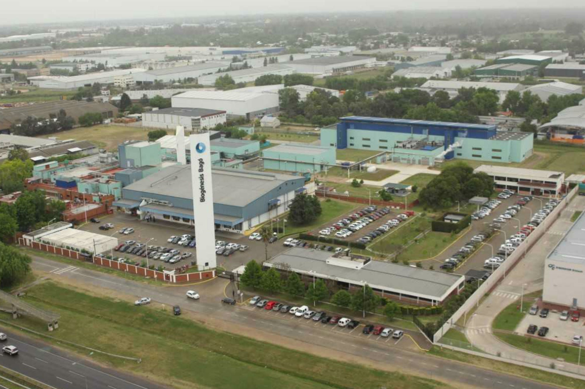 Fiebre aftosa: la empresa argentina Biogénesis Bagó será proveedora de un banco de vacunas de Brasil, que tiene uno de los mayores rodeos del mundo