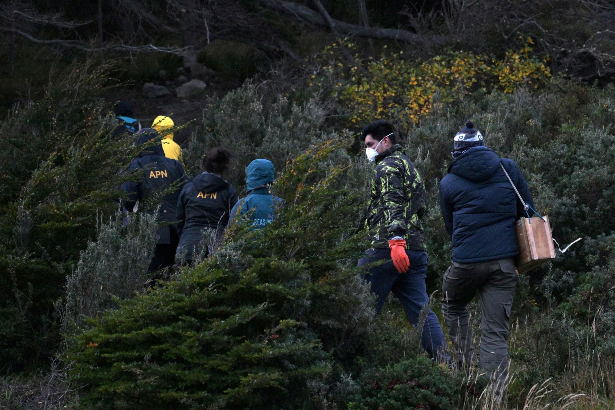 Uno por uno: los cinco lugares de Ushuaia donde buscarán el origen del brote de hantavirus en un crucero