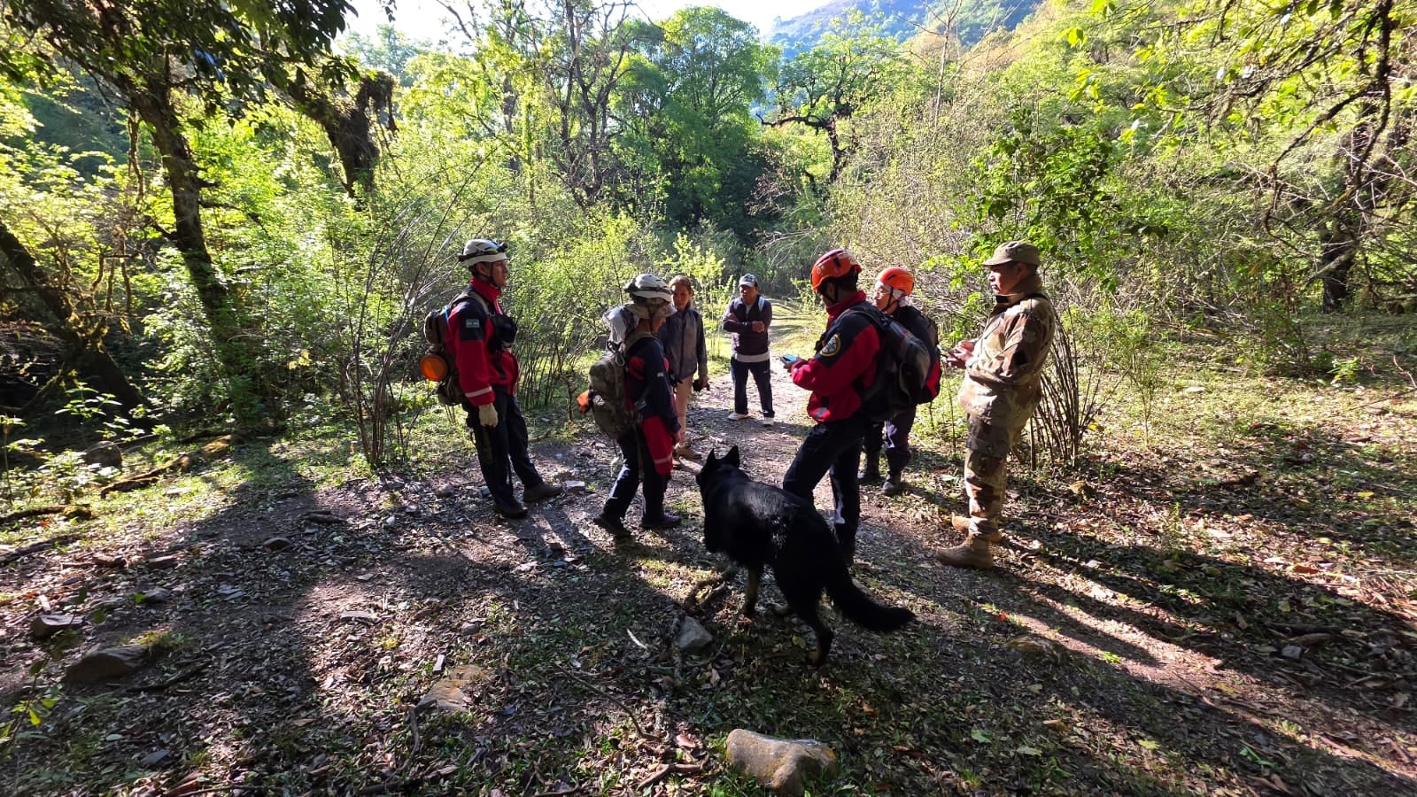 El operativo para dar con el paradero de Cordeyro incluyó a más de 100 efectivos de la policía de Salta, equipos especializados y perros de rastreadores