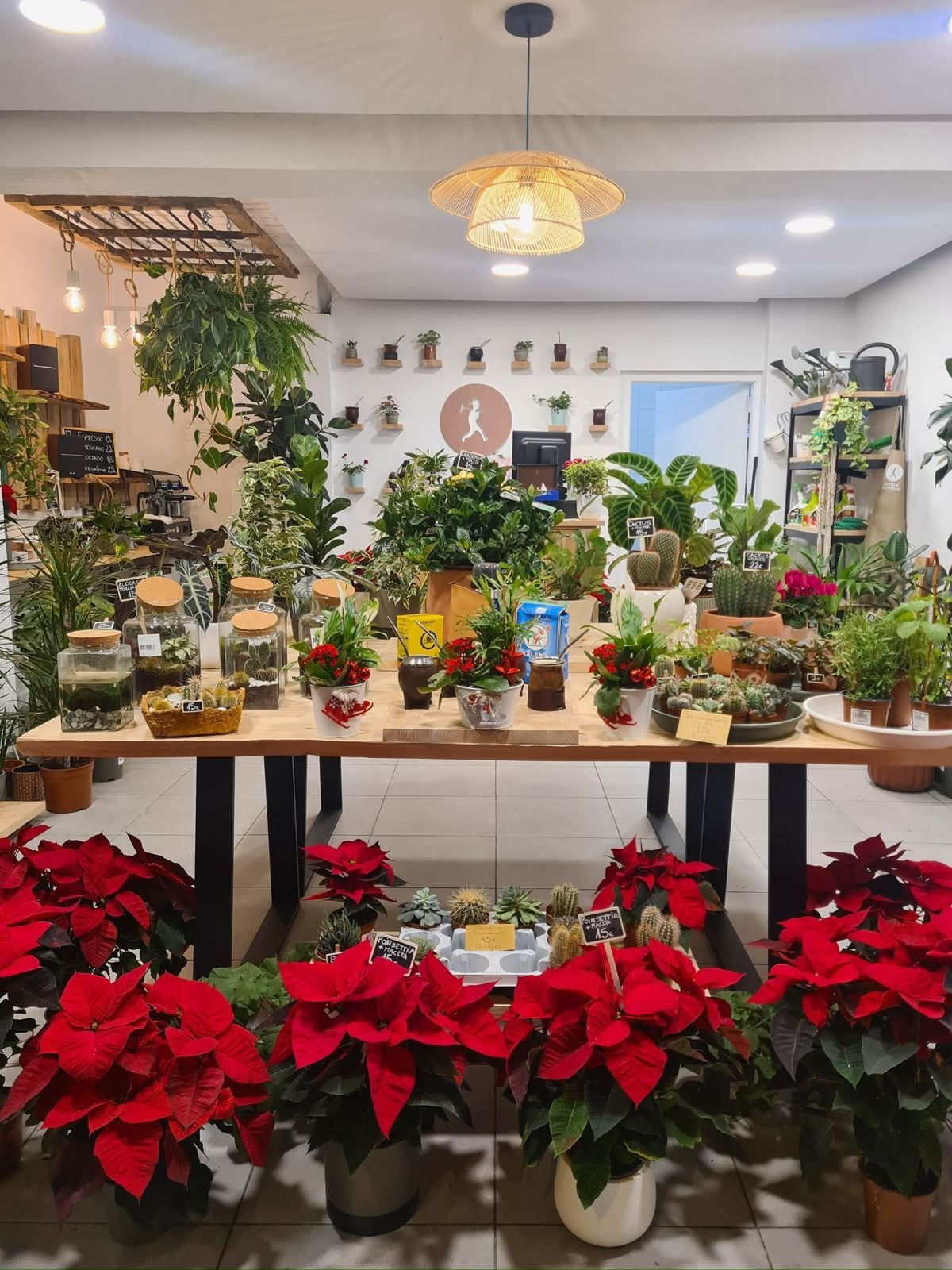 El local, ubicado en el barrio de L’Eixample mates y plantas