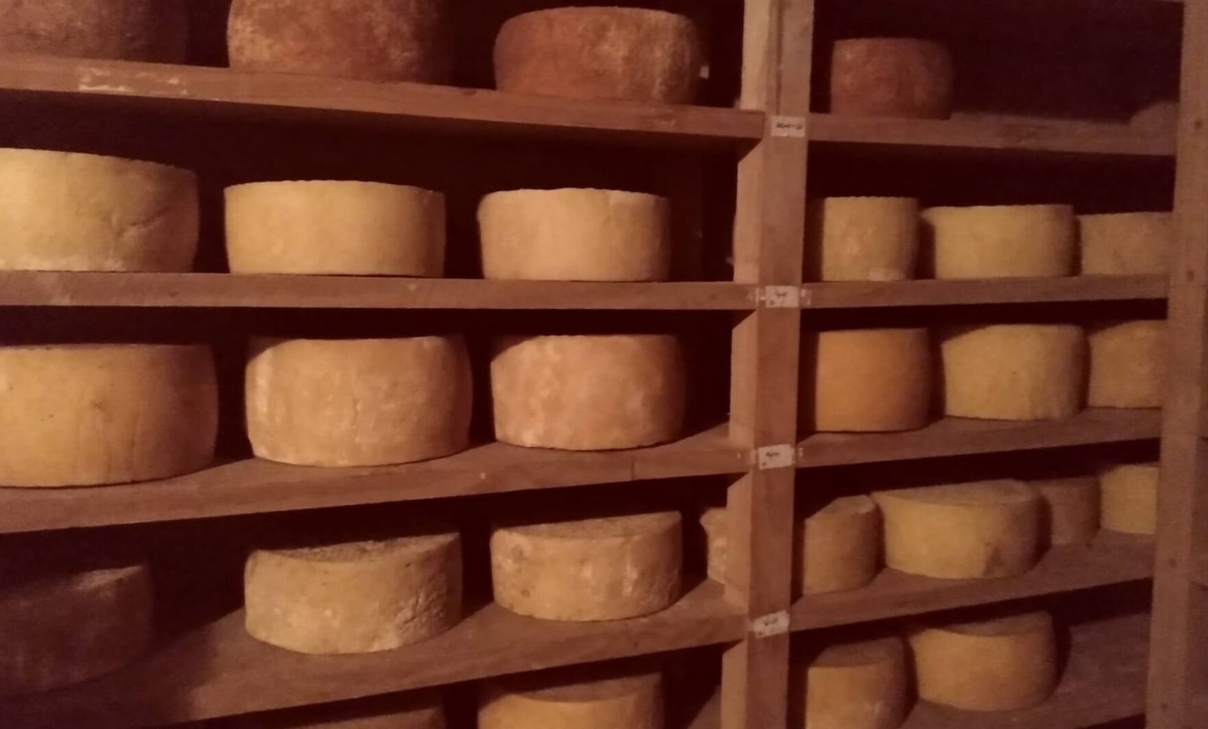 Cinco muestras tomadas por las autoridades sanitarias resultaron positivas para Listeria monocytogenes; entre estas, una correspondía al queso criollo que habían consumido todas las personas afectadas